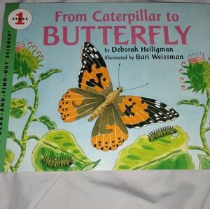 from caterpillar to butterfly